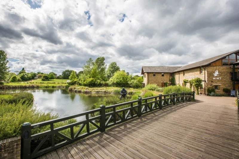 WWT London Wetland Centre