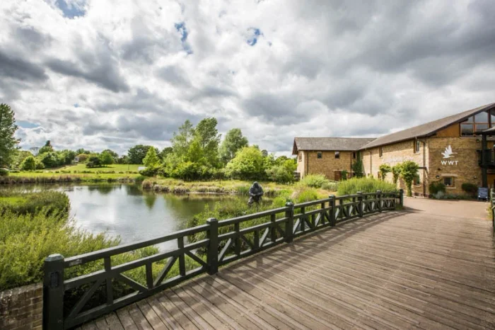WWT London Wetland Centre