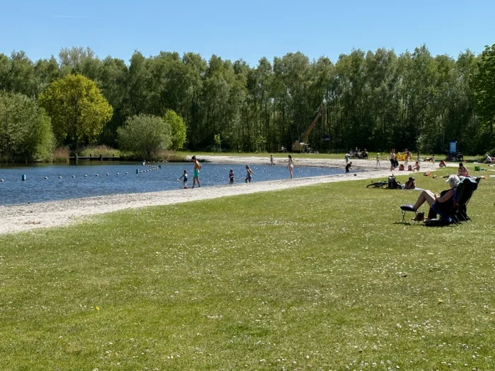 People on grassy lawn with narrow sandy beach next to lake and forest
