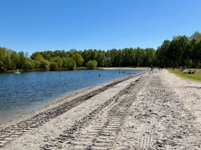 Sandy beach with tire tracks next to lake in nature reserve