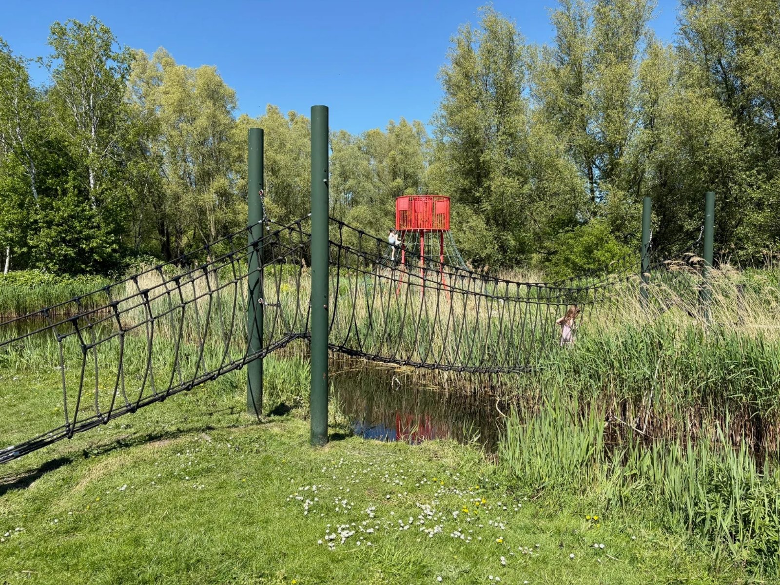 Rope bridge spanning canal with tall grass and climbing pyramid on the other side