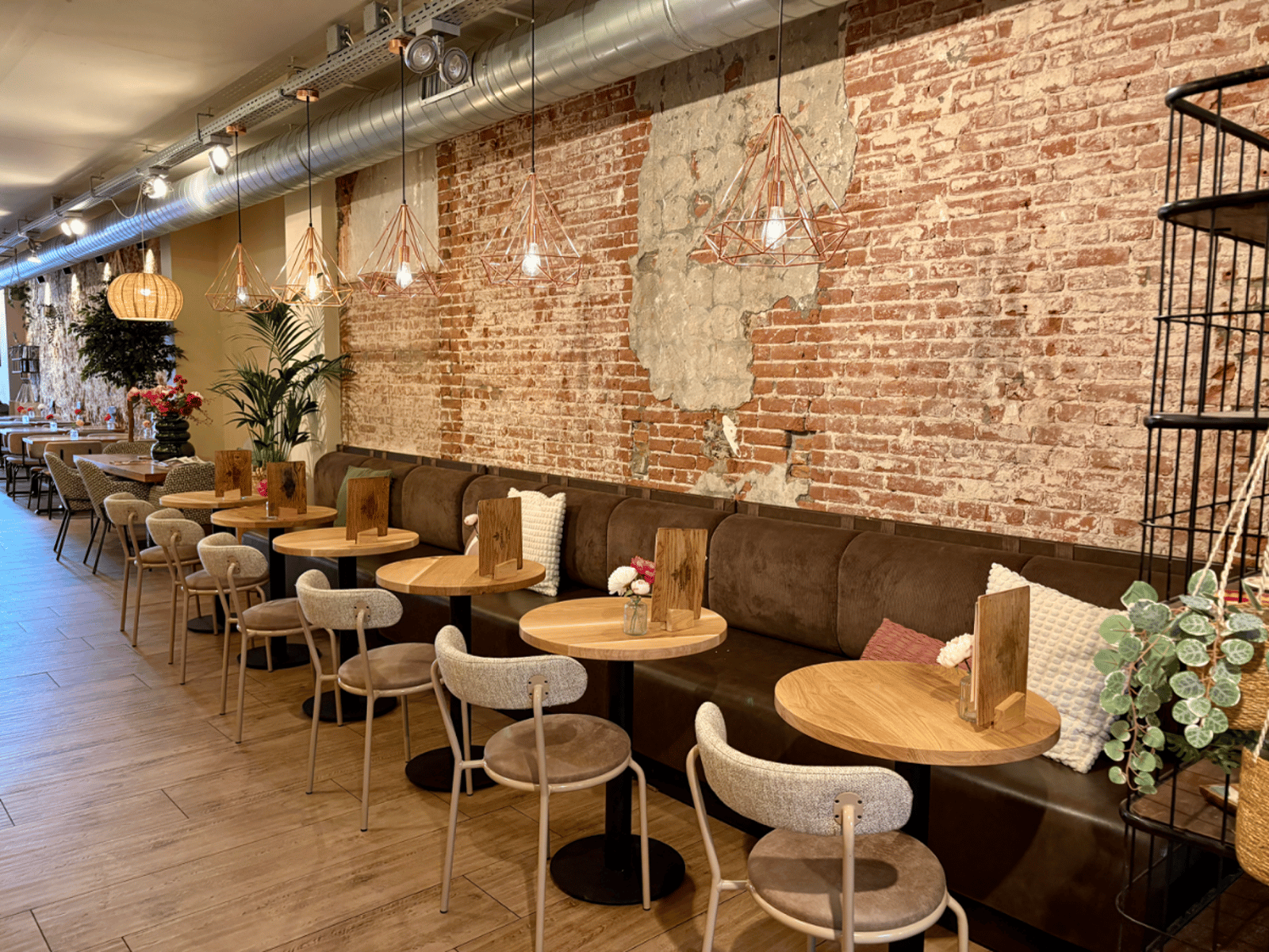Barista Cafe
