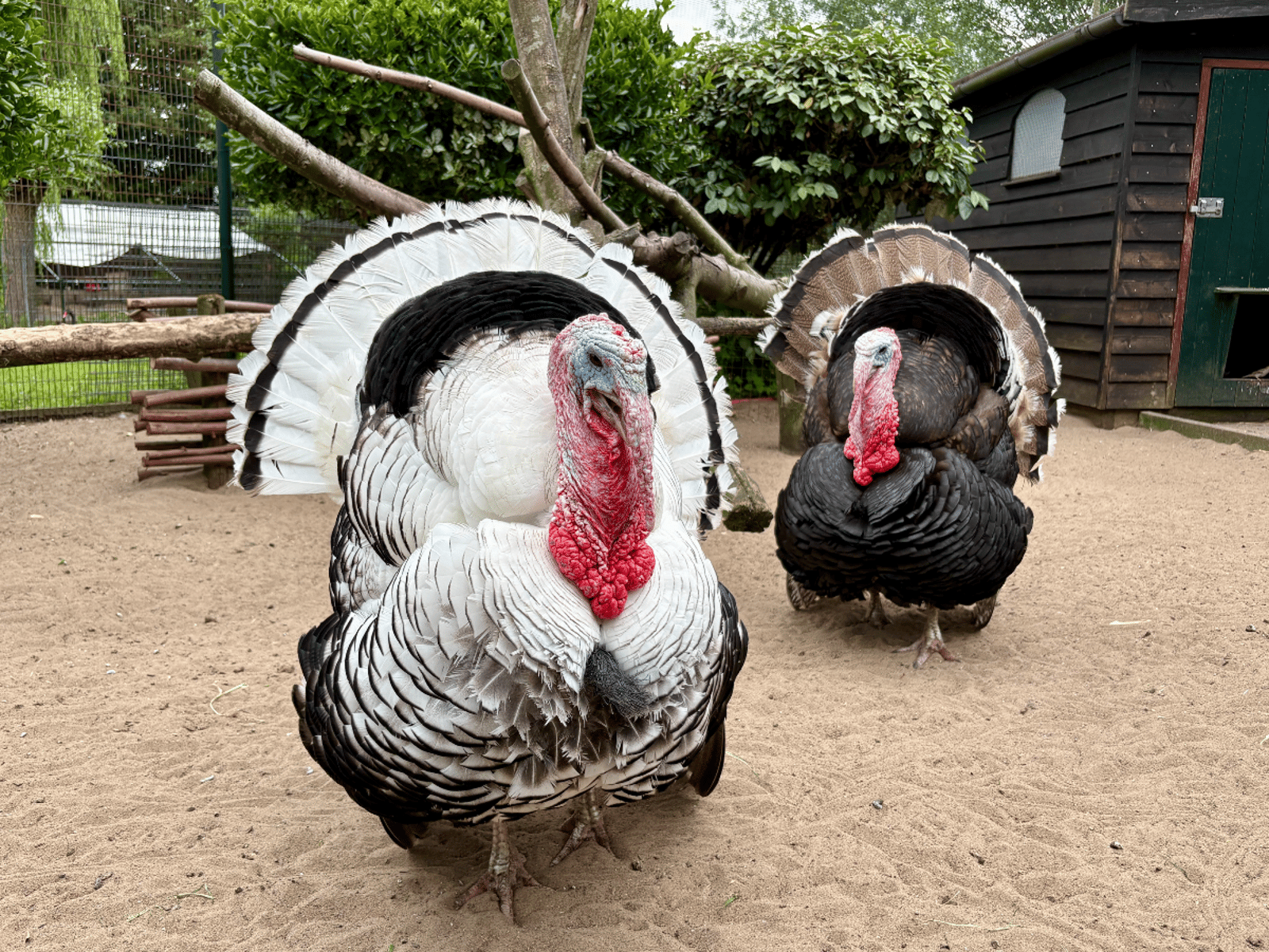 Children's Farm De Bijlmerweide