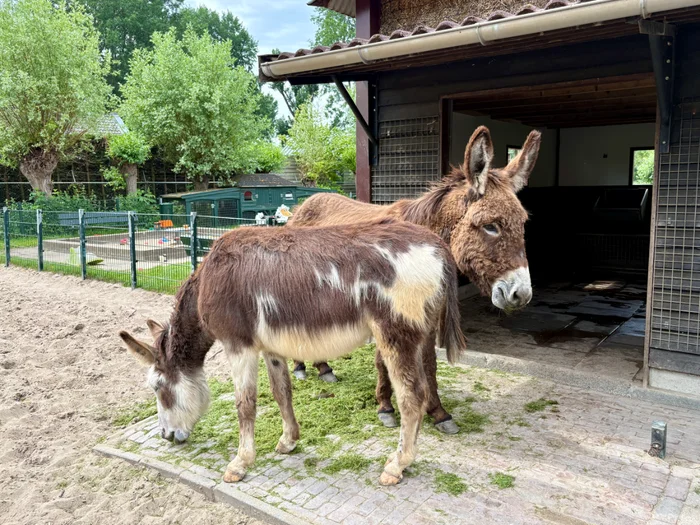 Children's Farm De Bijlmerweide