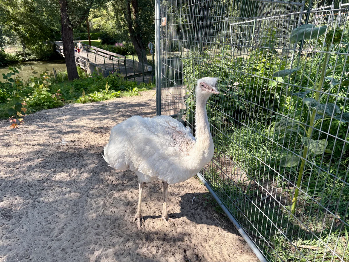Kinderboerderij Amstelpark