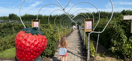 Van Reeuwijk Fruit & Flowers