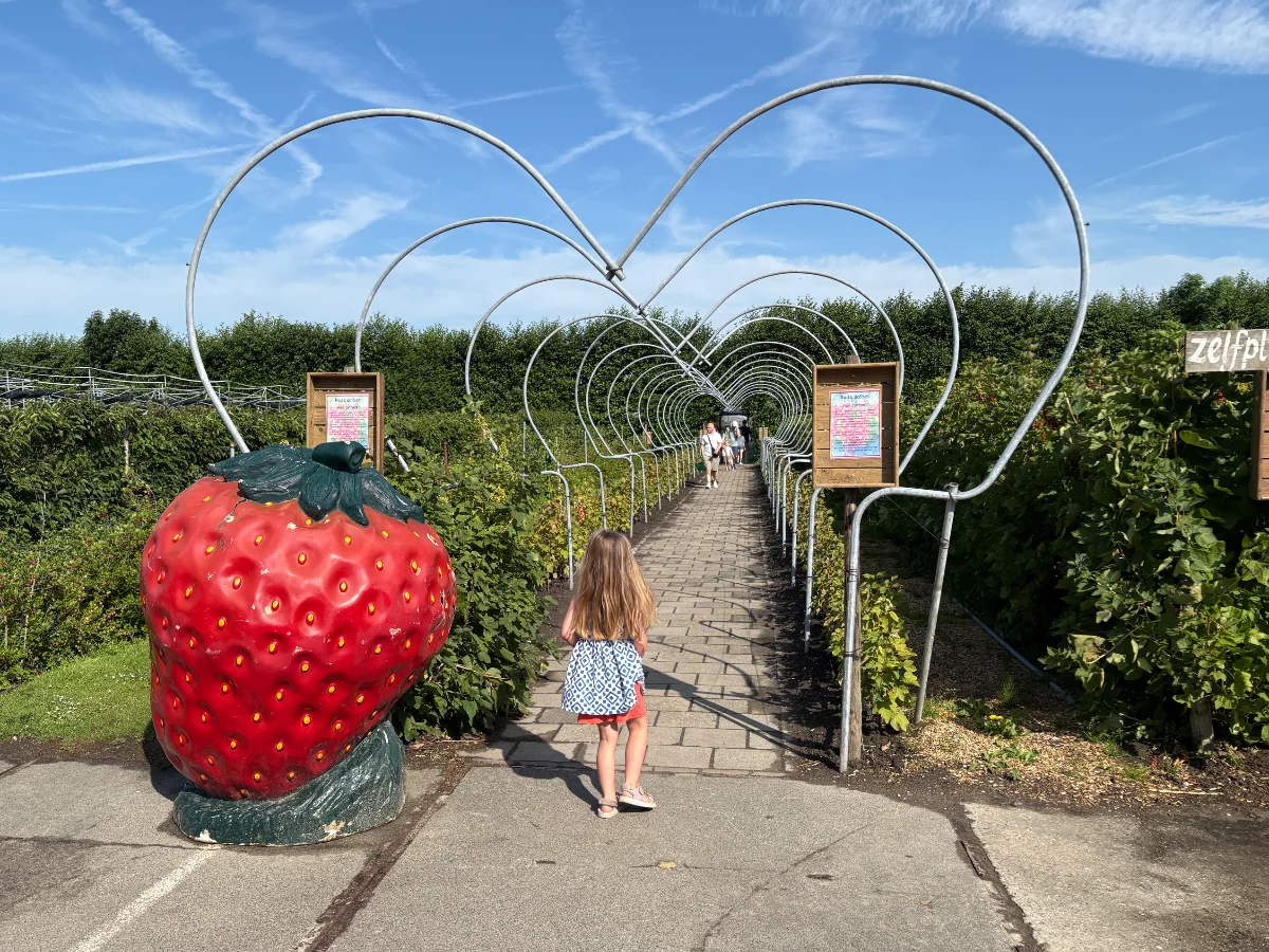 Van Reeuwijk Fruit & Flowers
