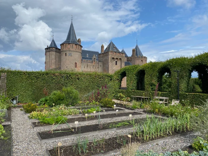 Vegetable garden surrounded by hedges with castle in the distance