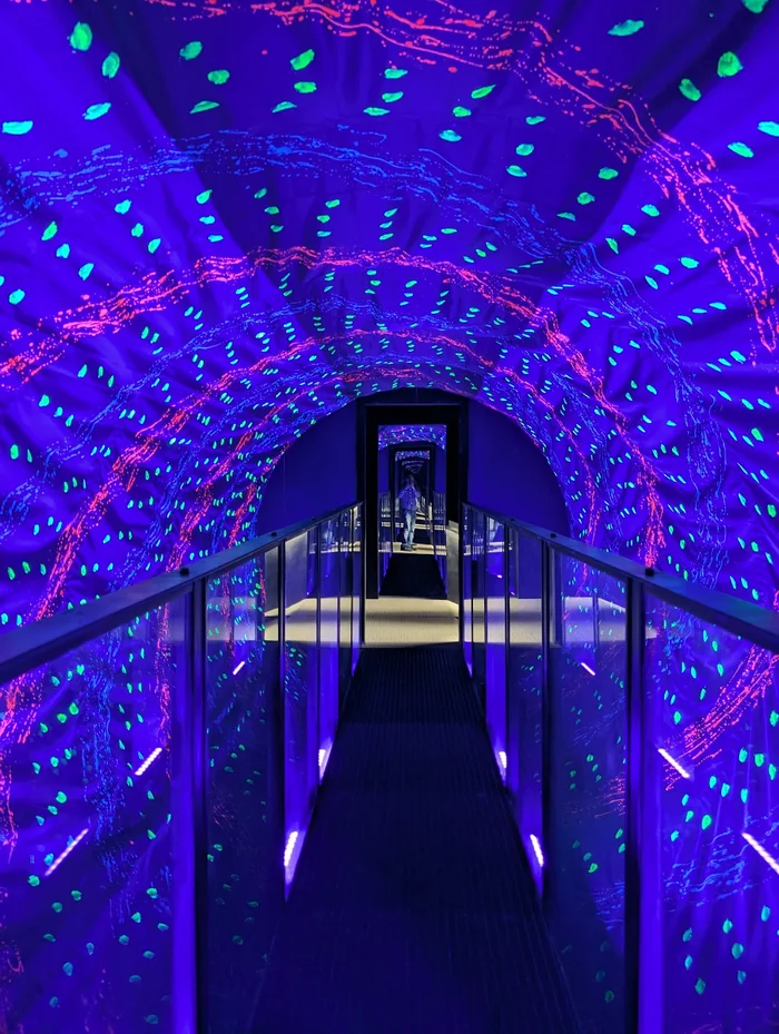Museum of Illusions Amsterdam