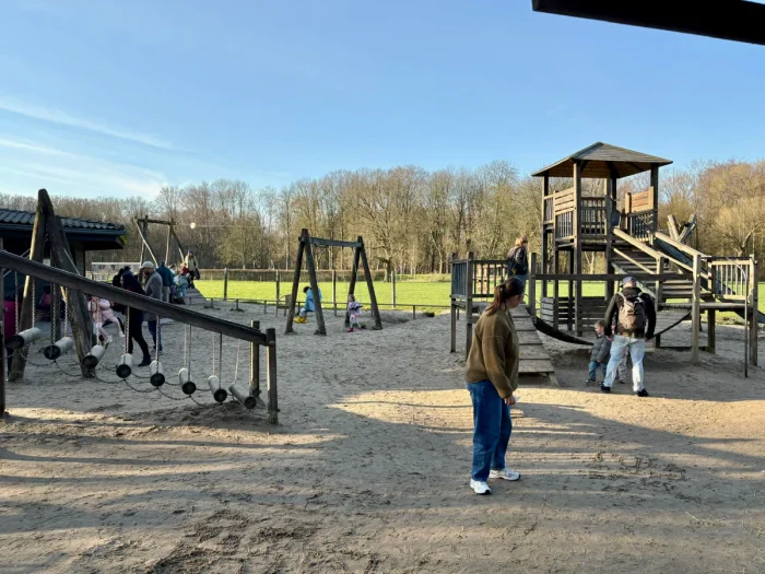 Children and parents playing at wooden playground with balancing logs, swing, and climbing structure with slide