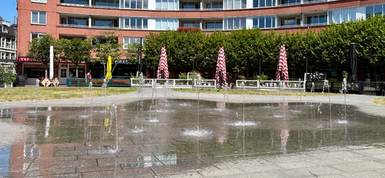 Marie Heinekenplein Fontein