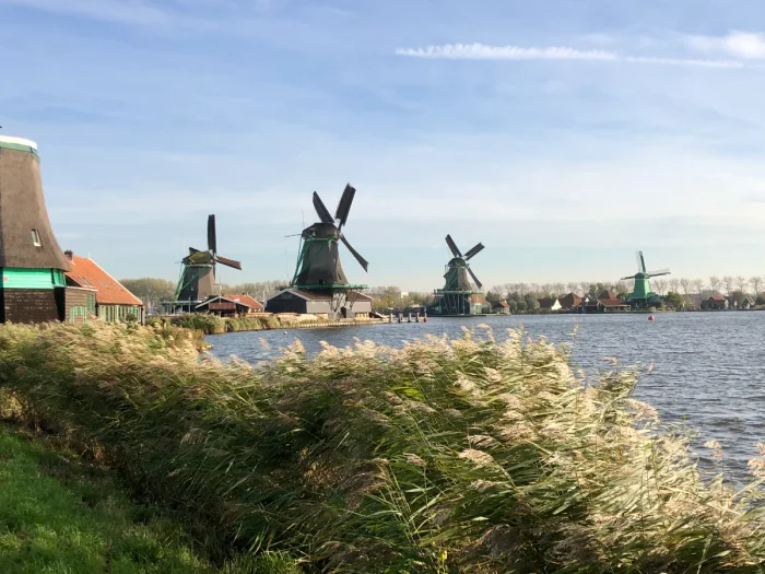 Four wooden windmills on a river with tall grass blowing in the wind in the foreground