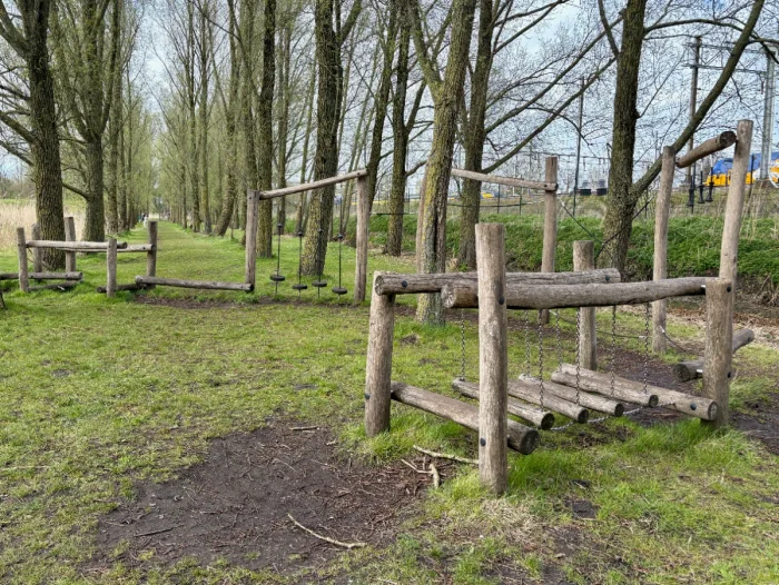 Natural wooden obstacle course on grass with rows of mature trees behind