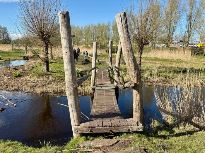Wooden plank bridge with crooked poles spanning canal and grassy mashland