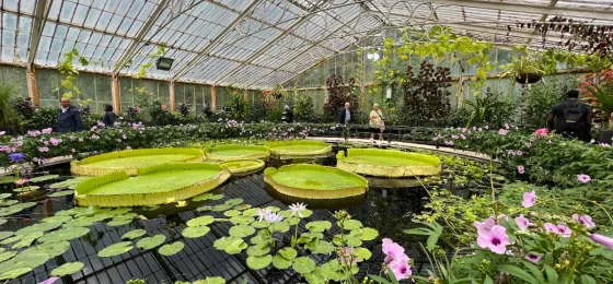 Royal Botanic Gardens, Kew