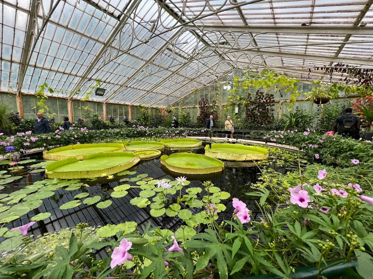 Royal Botanic Gardens, Kew