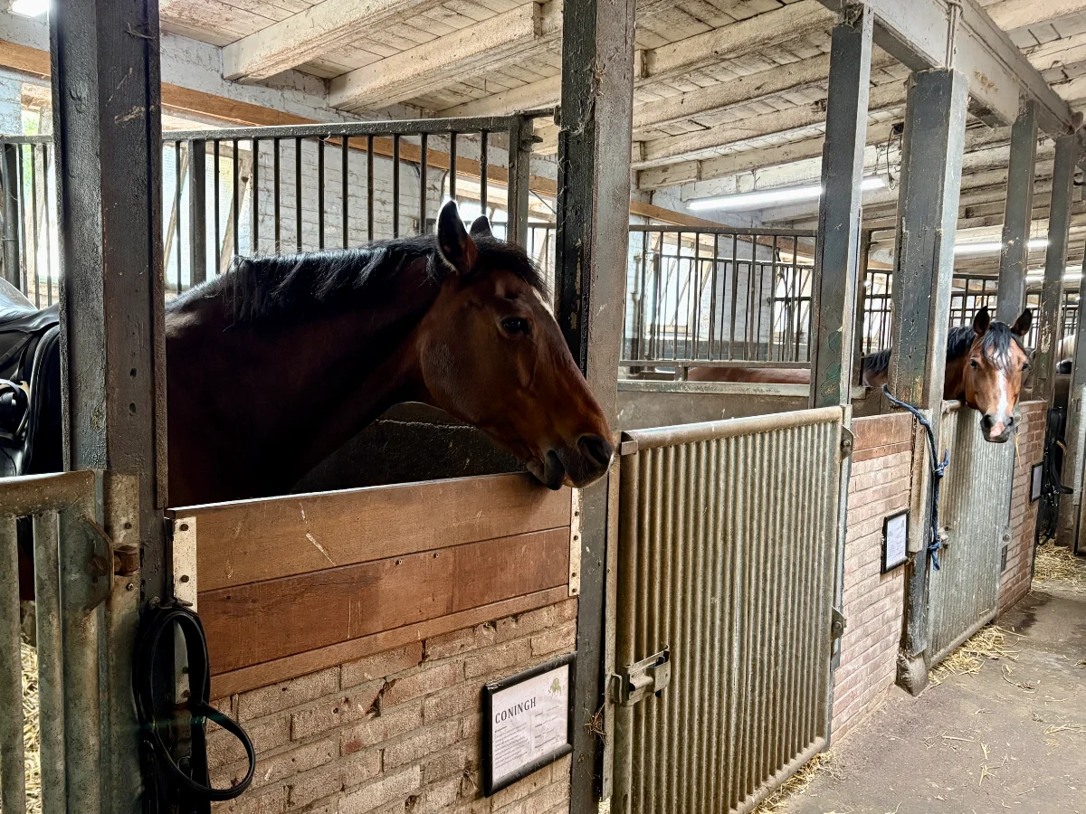 Amsterdamse Manege