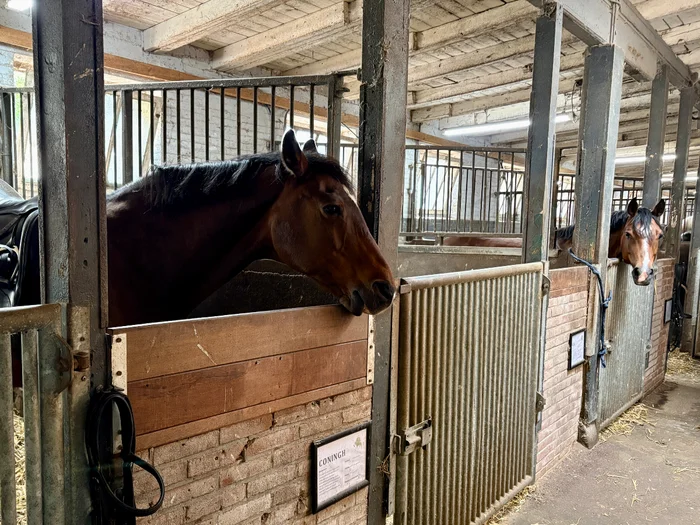 Amsterdamse Manege
