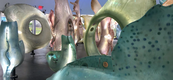 SeaGlass Carousel