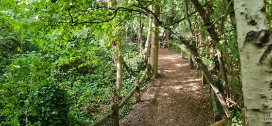 Camley Street Natural Park, London Wildlife Trust