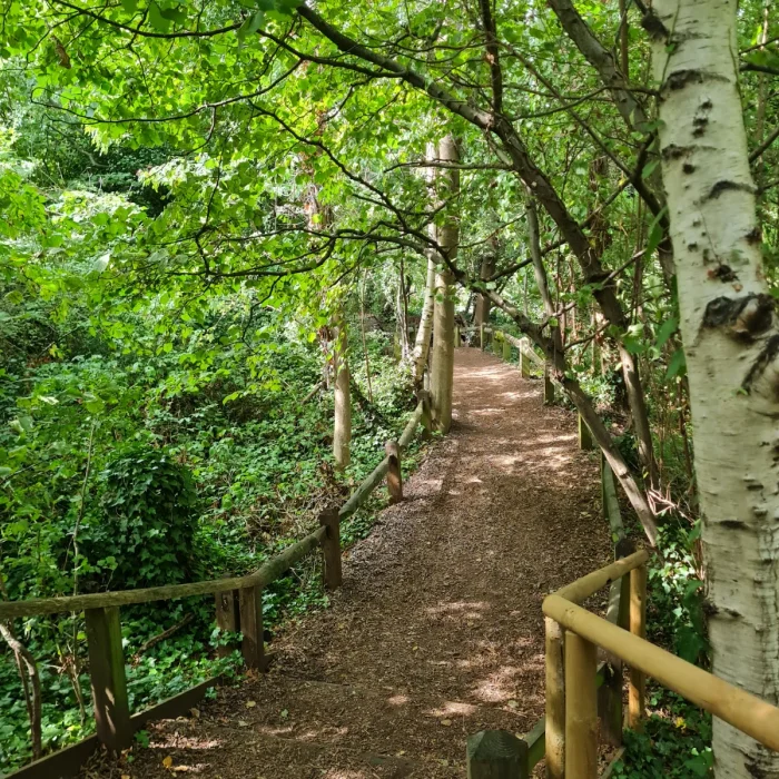 Camley Street Natural Park, London Wildlife Trust