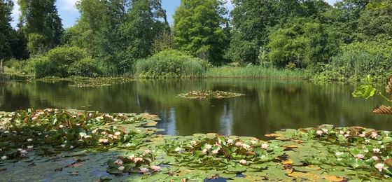 Von Gimborn Arboretum