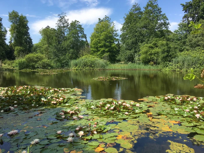 Von Gimborn Arboretum