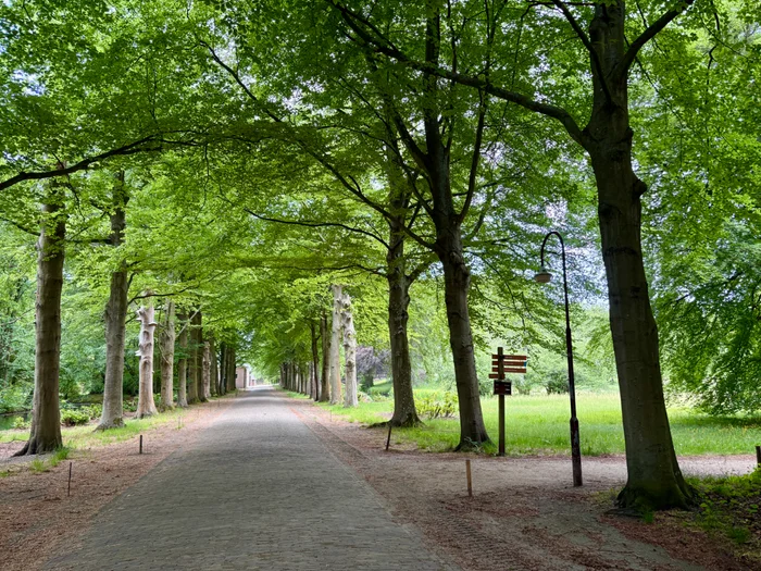 Elswout