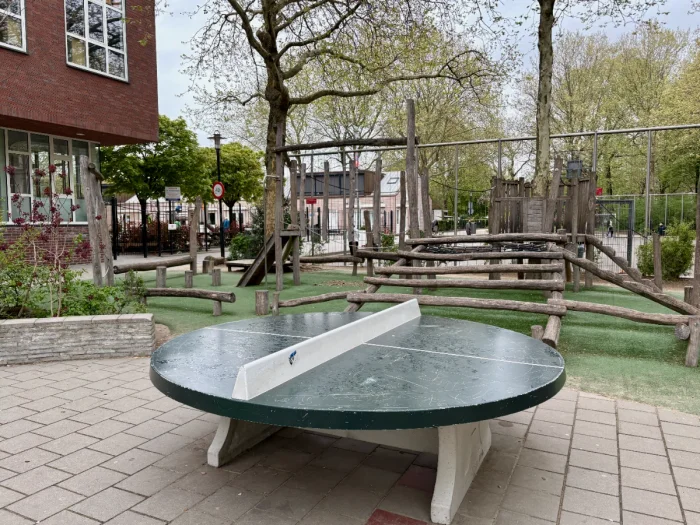 Round outdoor table tennis table with natural wooden log climbing structure