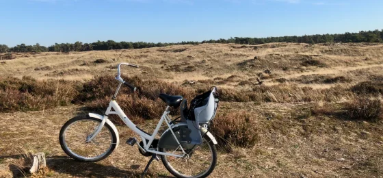Het Nationale Park De Hoge Veluwe