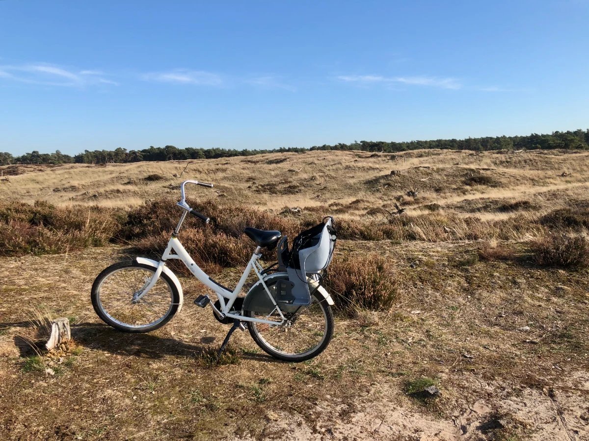 White bike with children's seat on sandy heathland in autumn