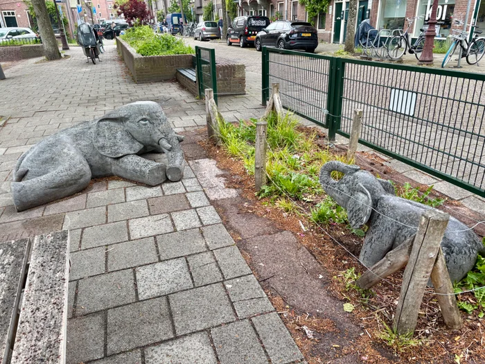 Speeltuin Transvaalplein