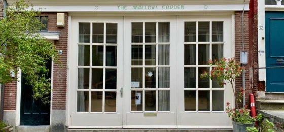 The Mallow Garden