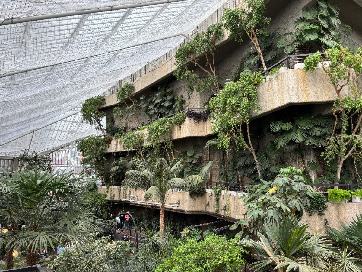 Barbican Conservatory
