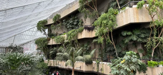 Barbican Conservatory
