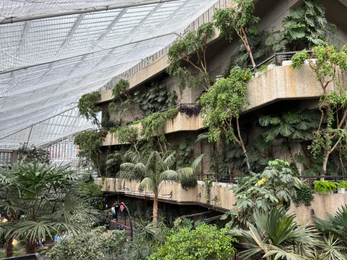 Barbican Conservatory