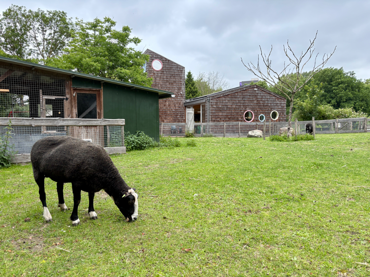Natuurspeeltuin Het Diereneiland