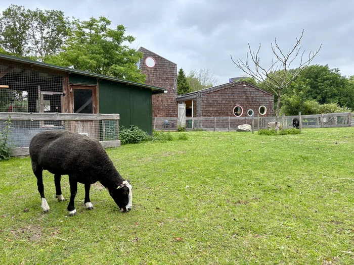 Natuurspeeltuin Het Diereneiland