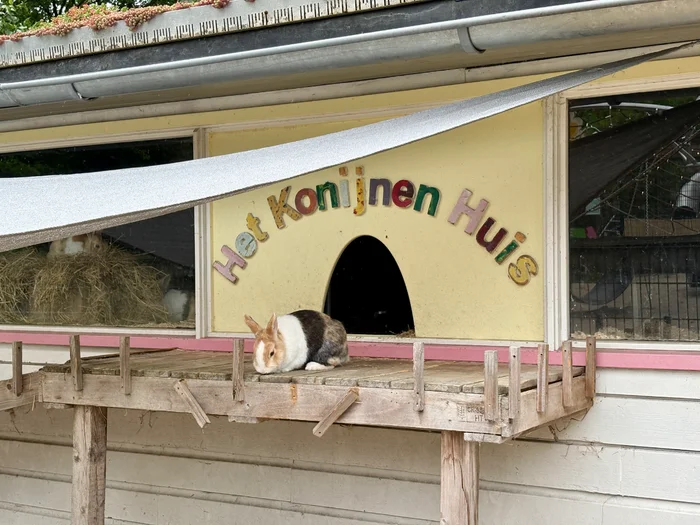 Natuurspeeltuin Het Diereneiland
