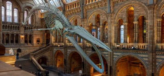 Natural History Museum