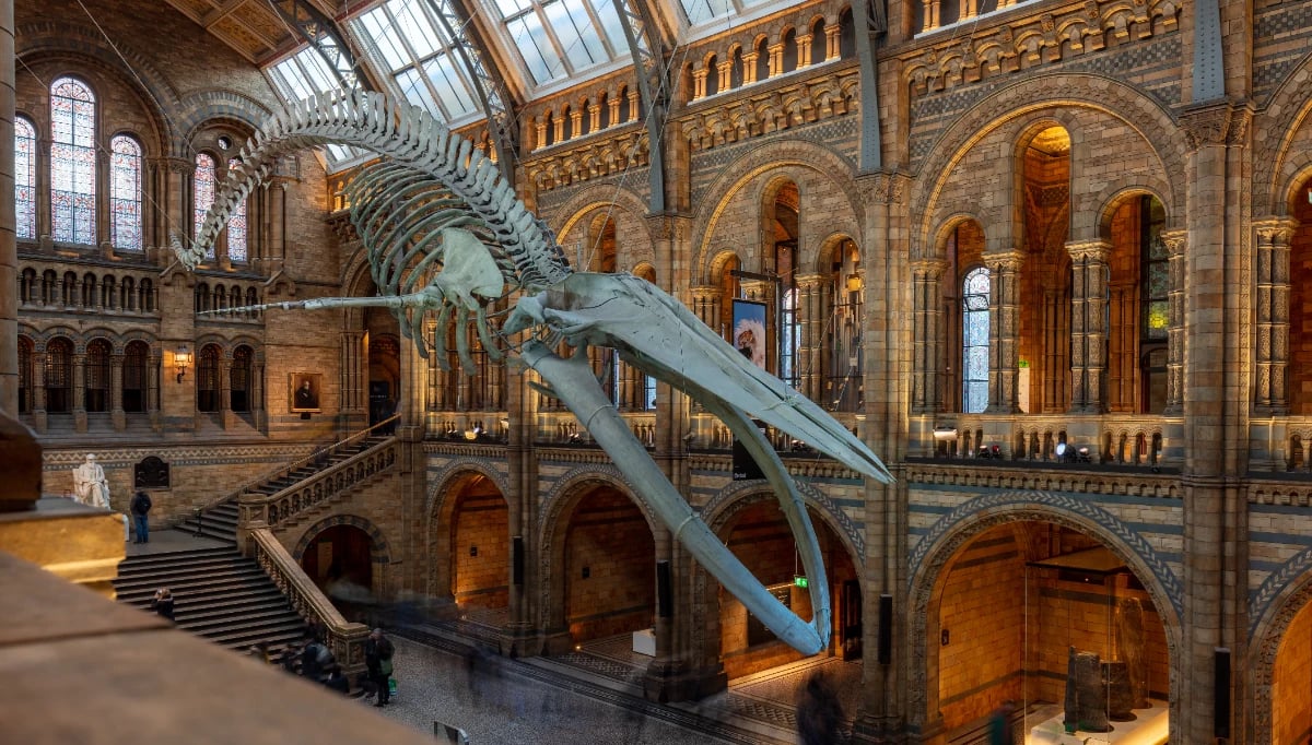 Natural History Museum