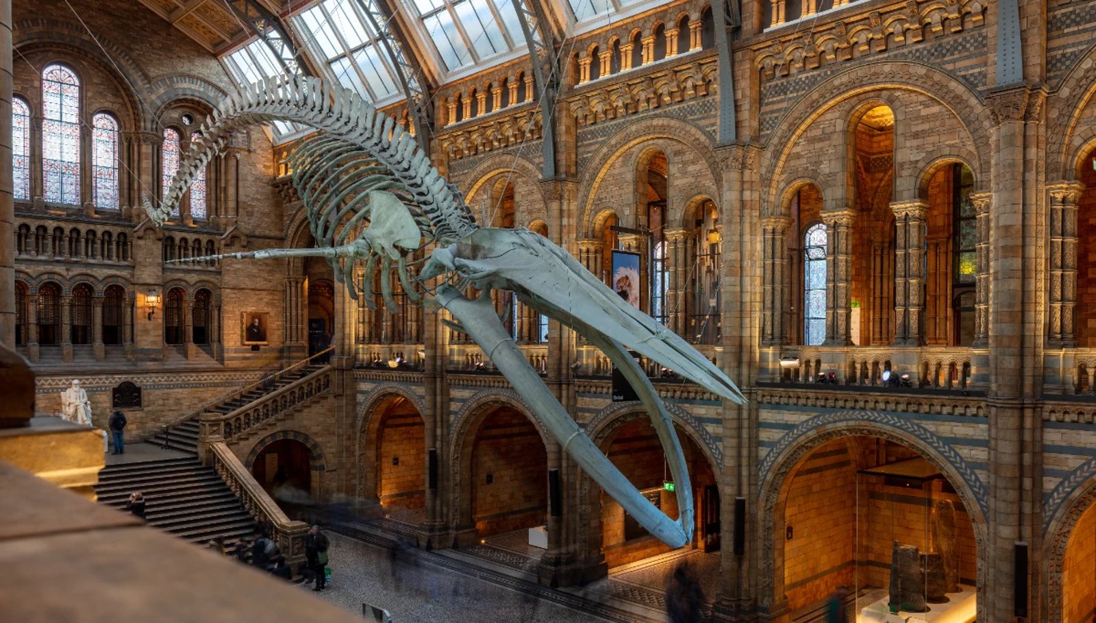 Natural History Museum