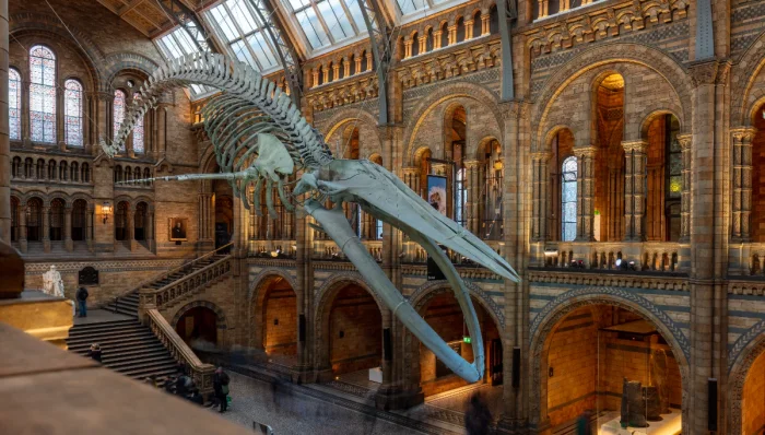 Natural History Museum