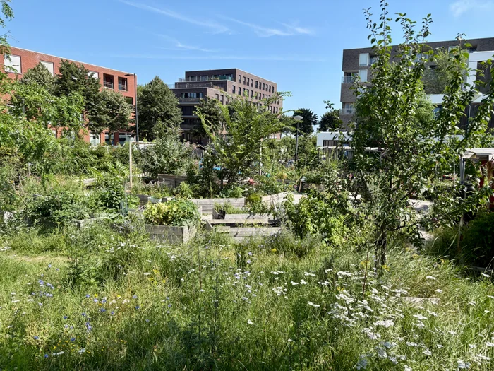 Speeltuin Haveneiland
