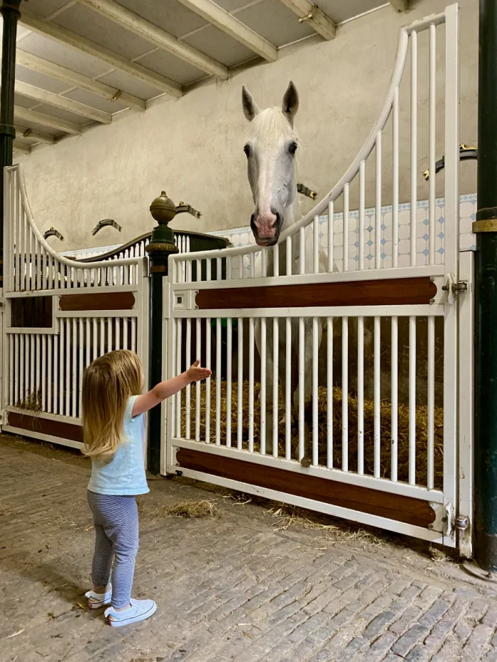 Girl interacting with white horse in stables with white ornate gates
