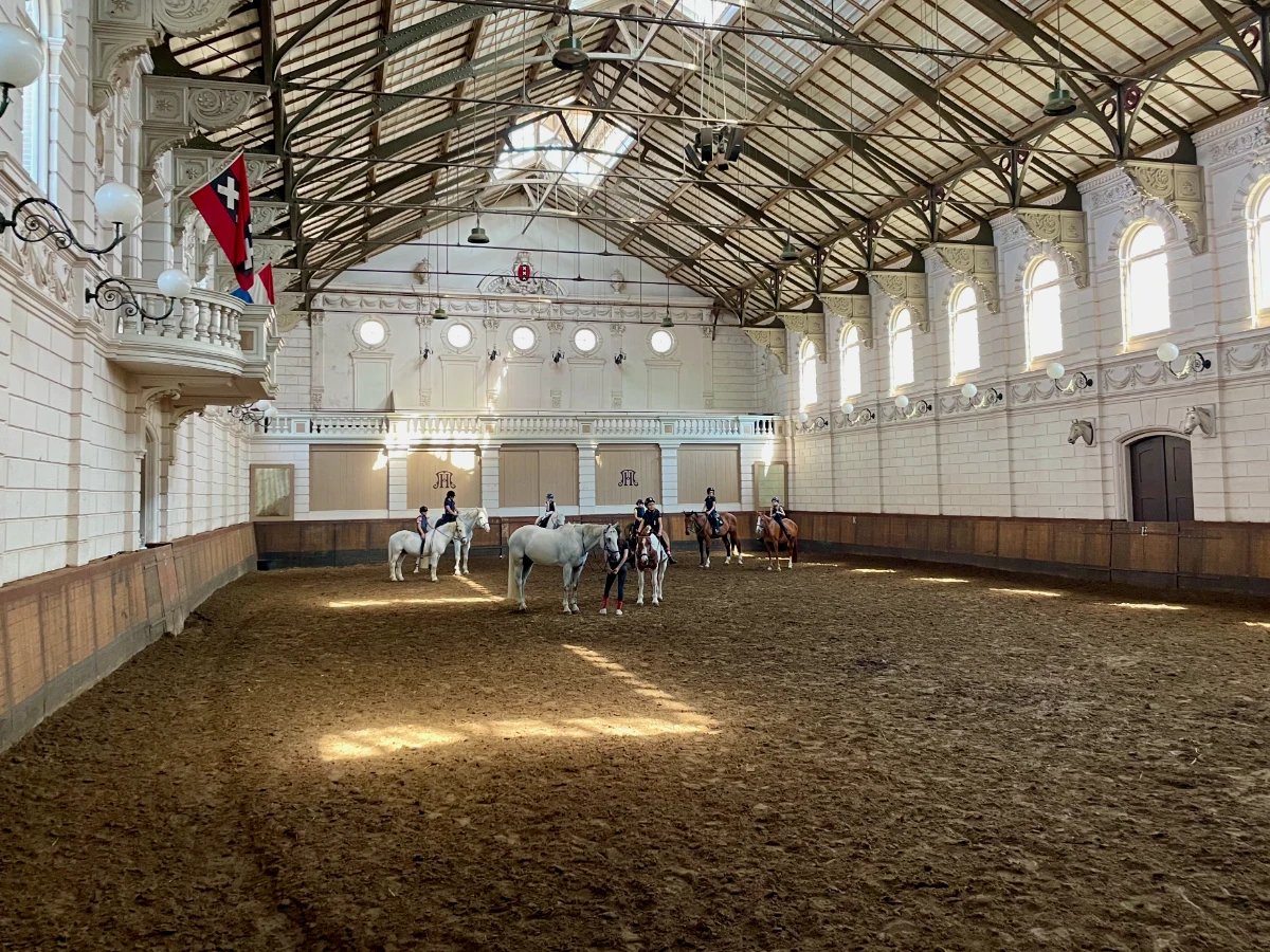 Historic riding hall with horses, dirt floor, vaulted ceiling and white walls with ornate details