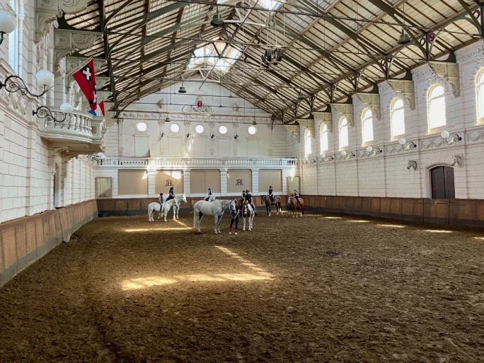 Historic riding hall with horses, dirt floor, vaulted ceiling and white walls with ornate details