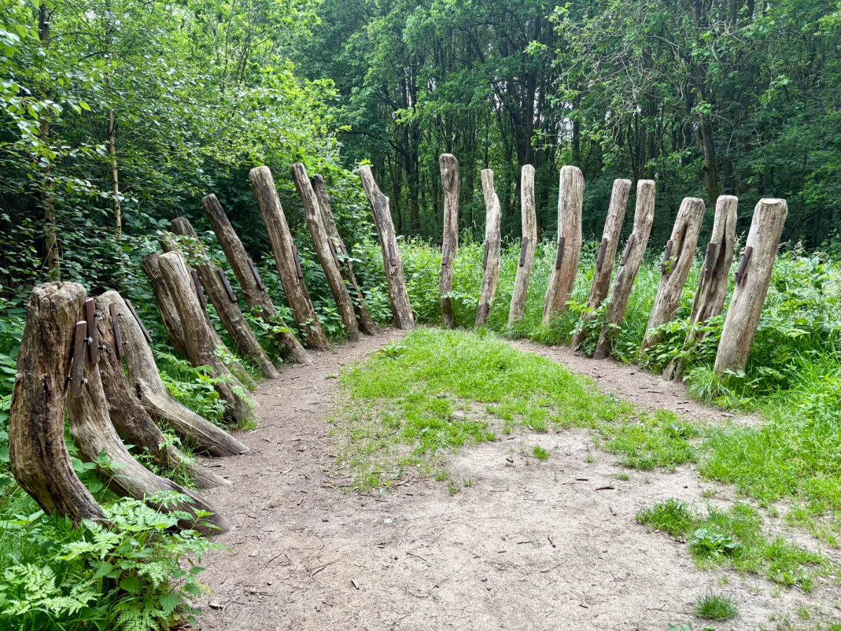 Speelbos Het Banjerbossie