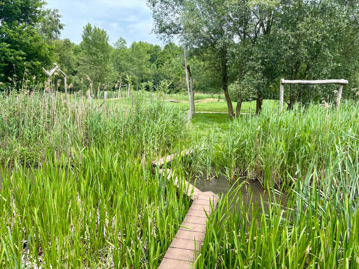 Speelbos Het Banjerbossie