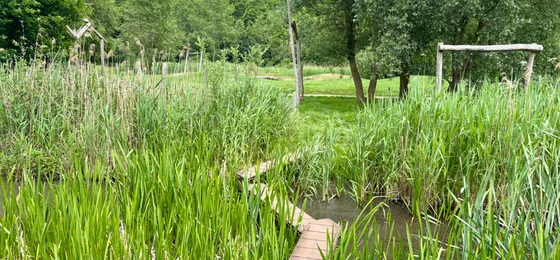 Speelbos Het Banjerbossie